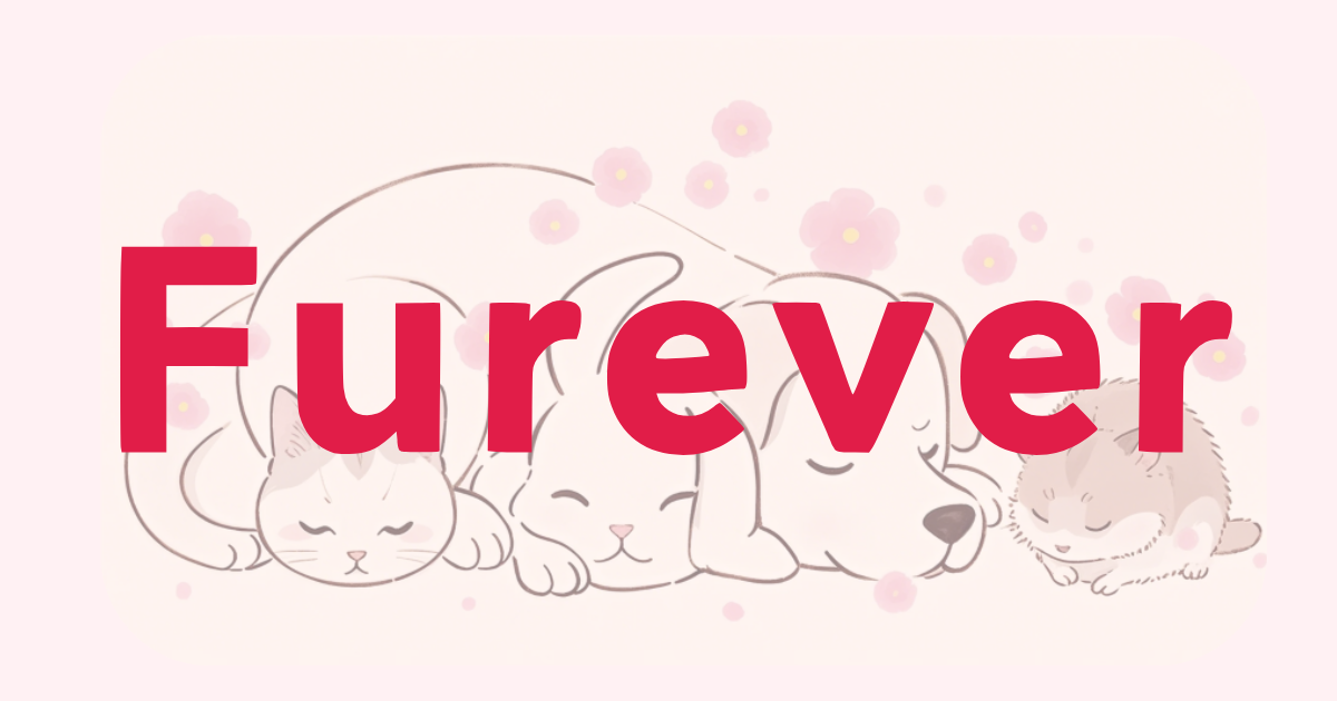Furever - Waar het verhaal van elk huisdier zijn voor altijd thuis vindt media 1