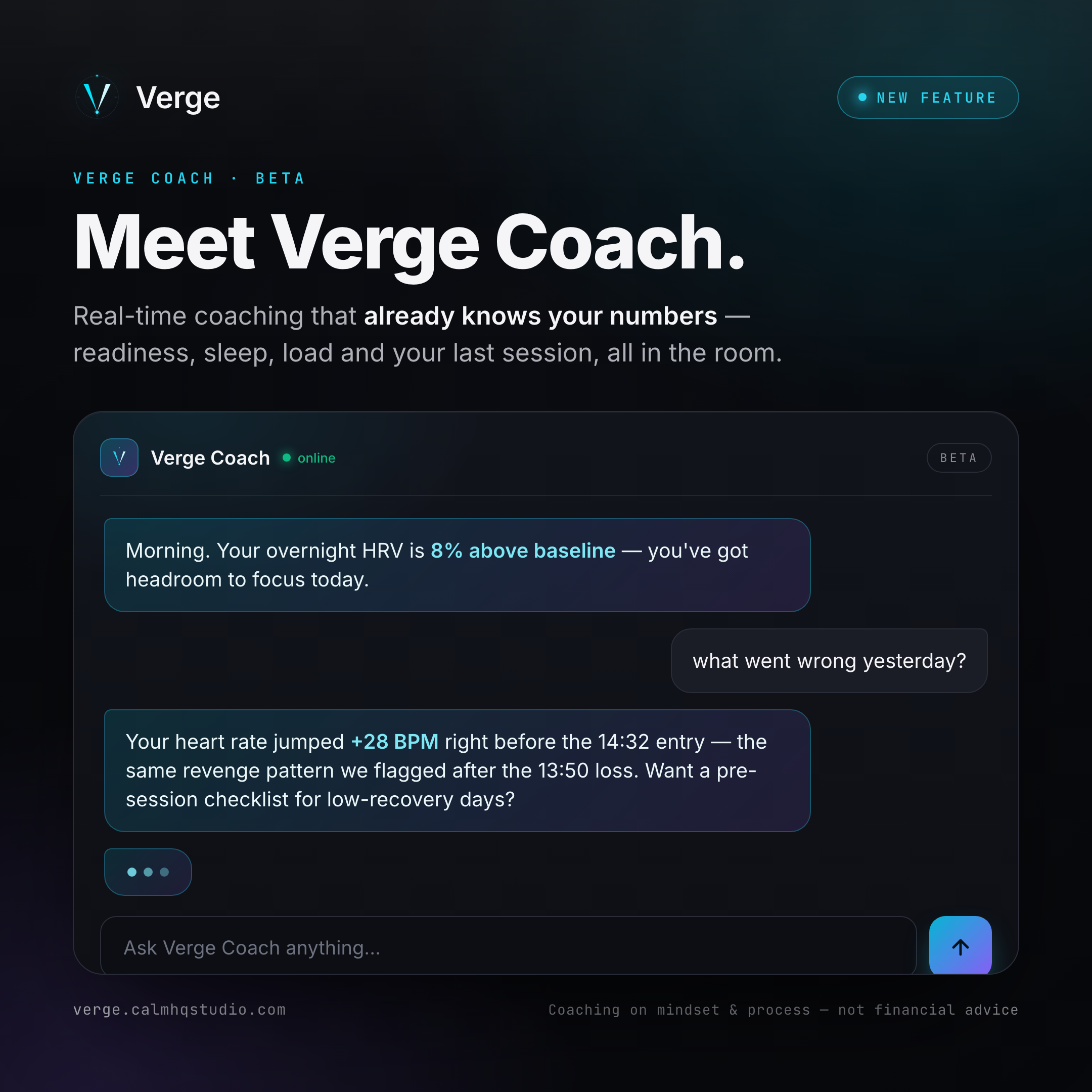 Verge gallery image