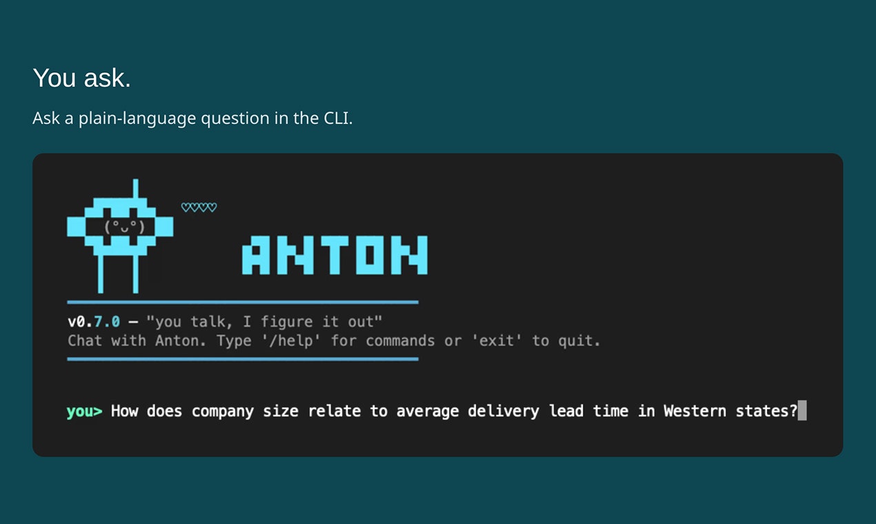 MindsDB Anton gallery image