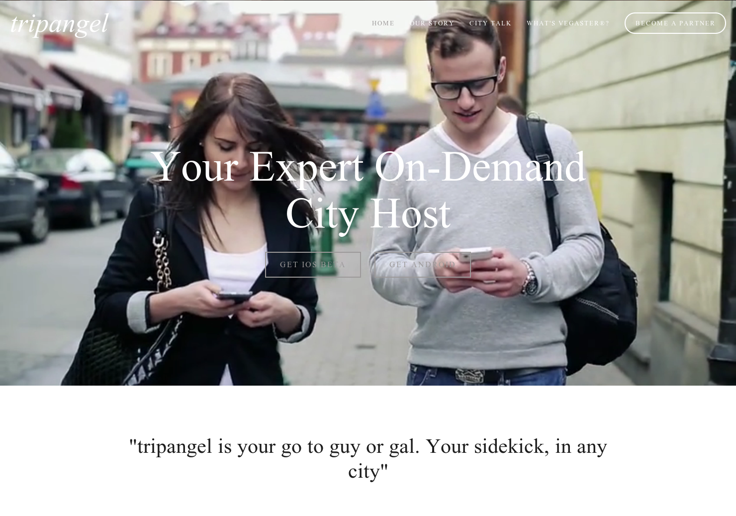 tripangel gallery image