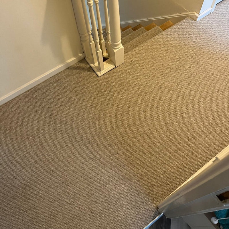 Carpets Online