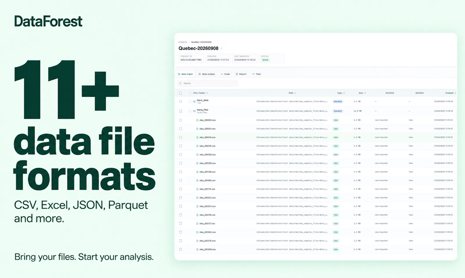 DataForest screenshot 4