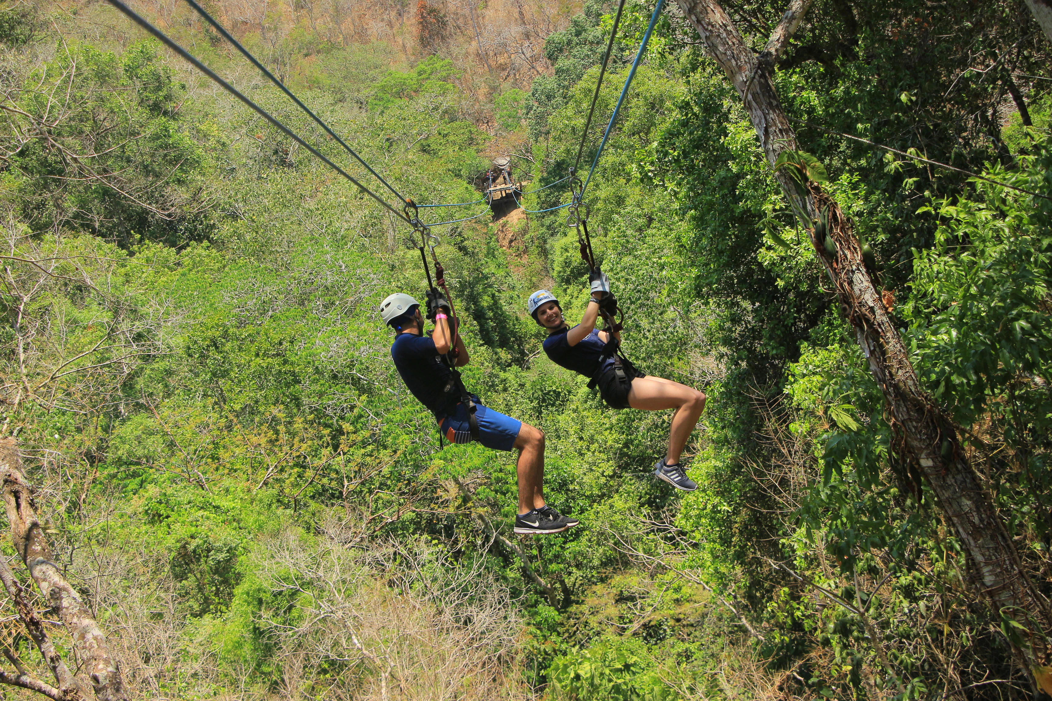 Chase H. Dimond cover