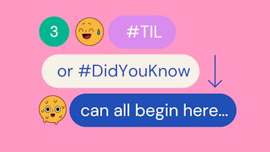 100+NotTech gallery image