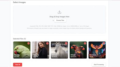 BIBROF AI gallery image