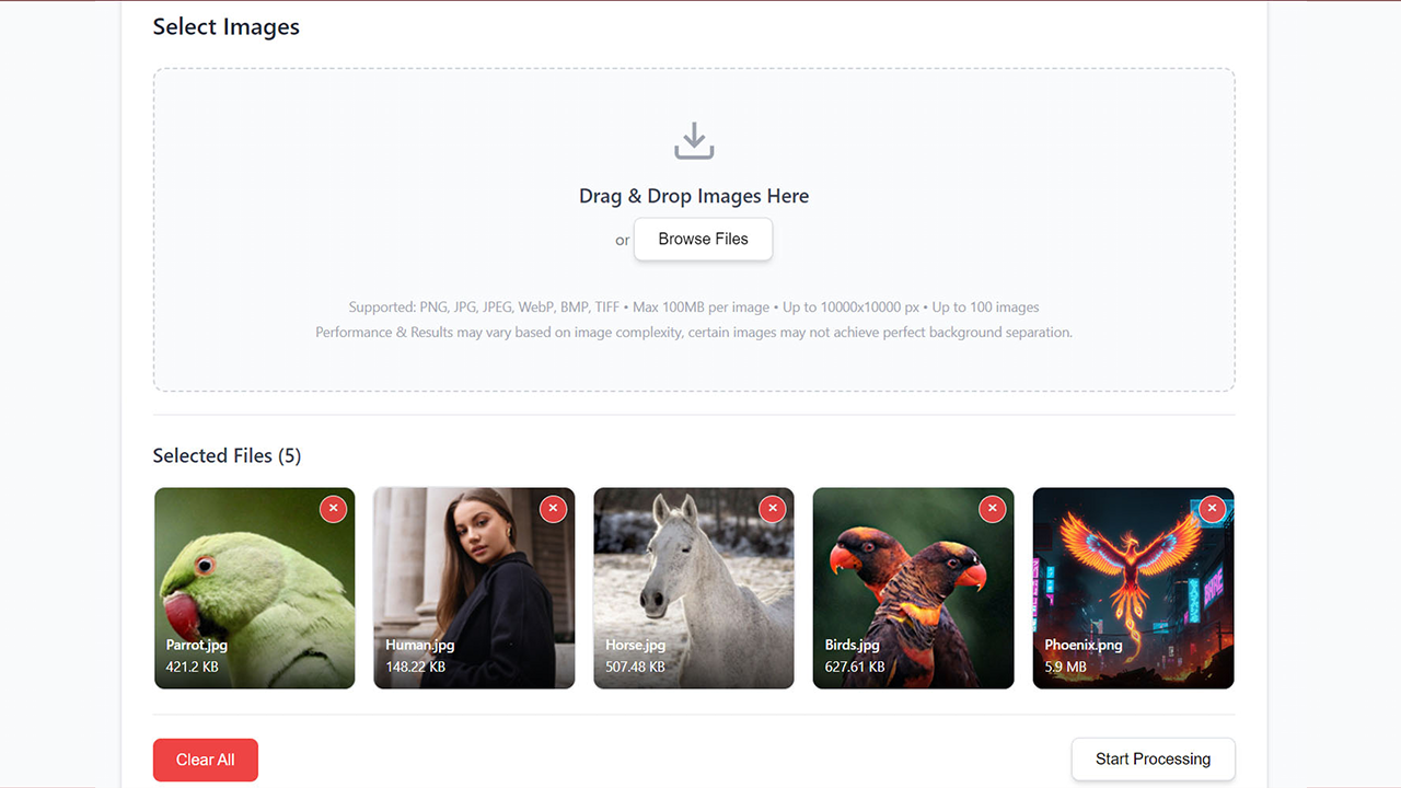 BIBROF AI - Screenshot 3 showing product features and functionality