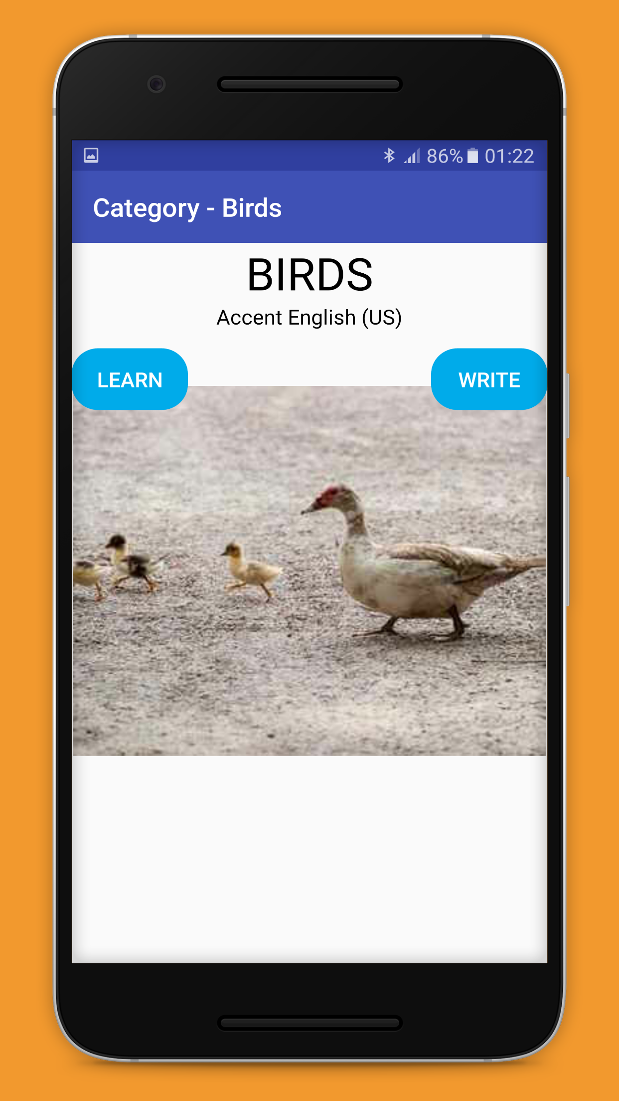 Learnofy App gallery image