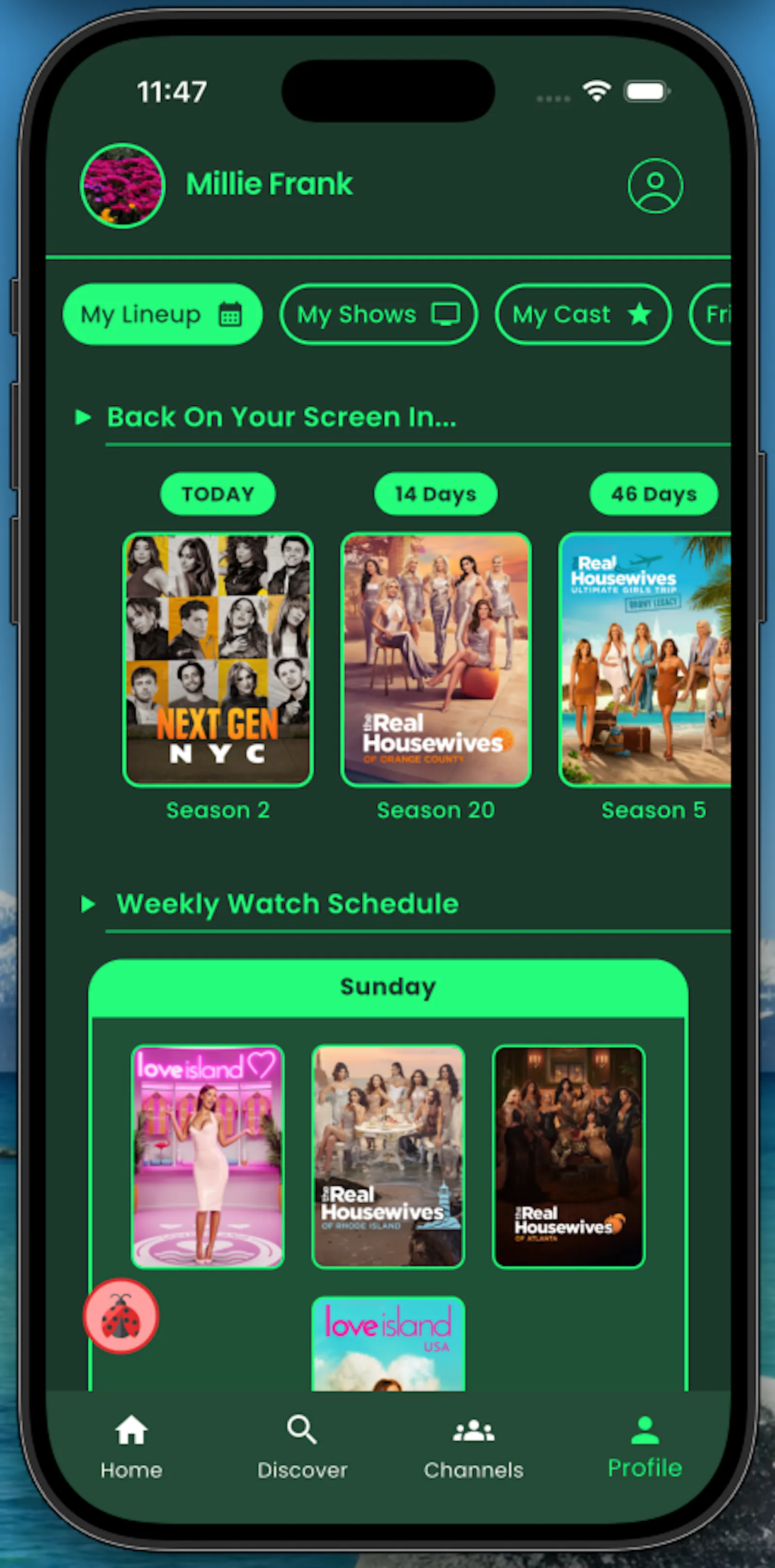 Streamee screenshot 1