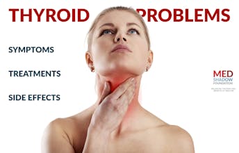 Papilio gallery image