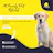 Dog Boarding Services