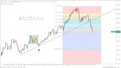 www.naked-markets.com gallery image