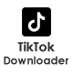 TikTok Video Downloader Non Watermarrk
