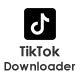 TikTok Video Downloader Non Watermarrk