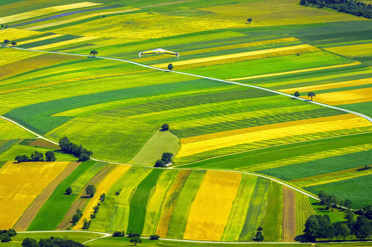 DroneDeploy
