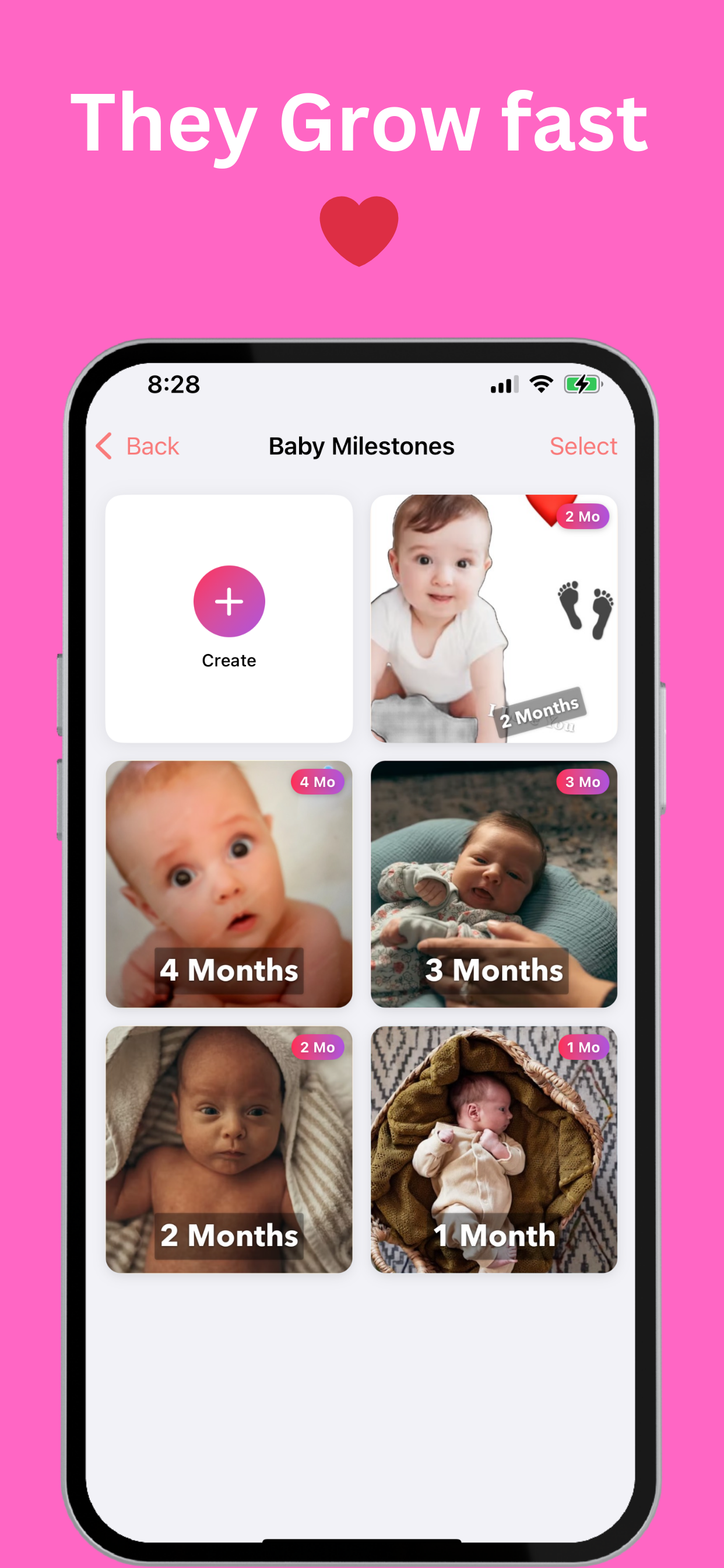 BabyPhoto - Main product screenshot demonstrating key features and user interface