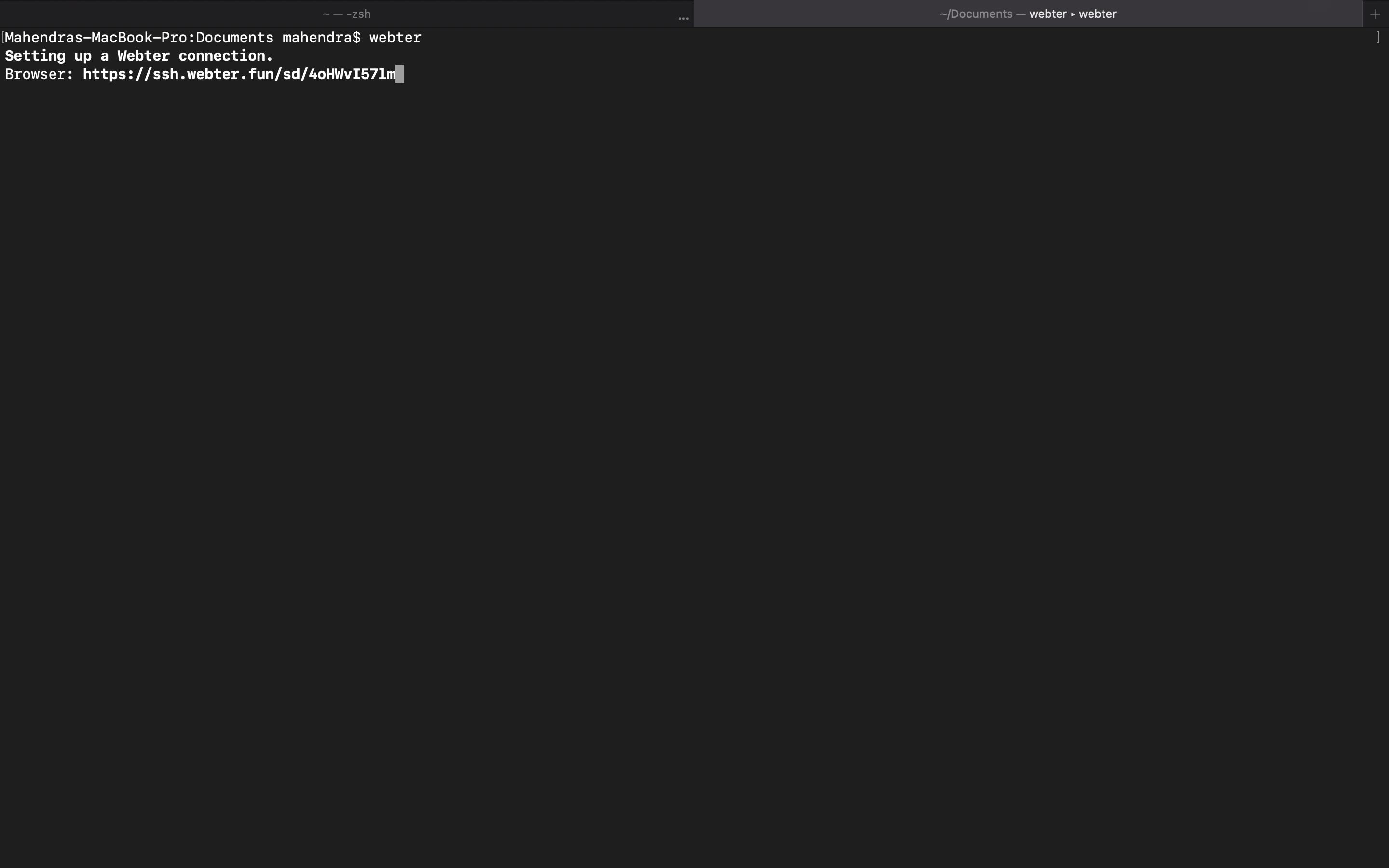 Webter gallery image