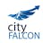 Cityfalcon 2.0