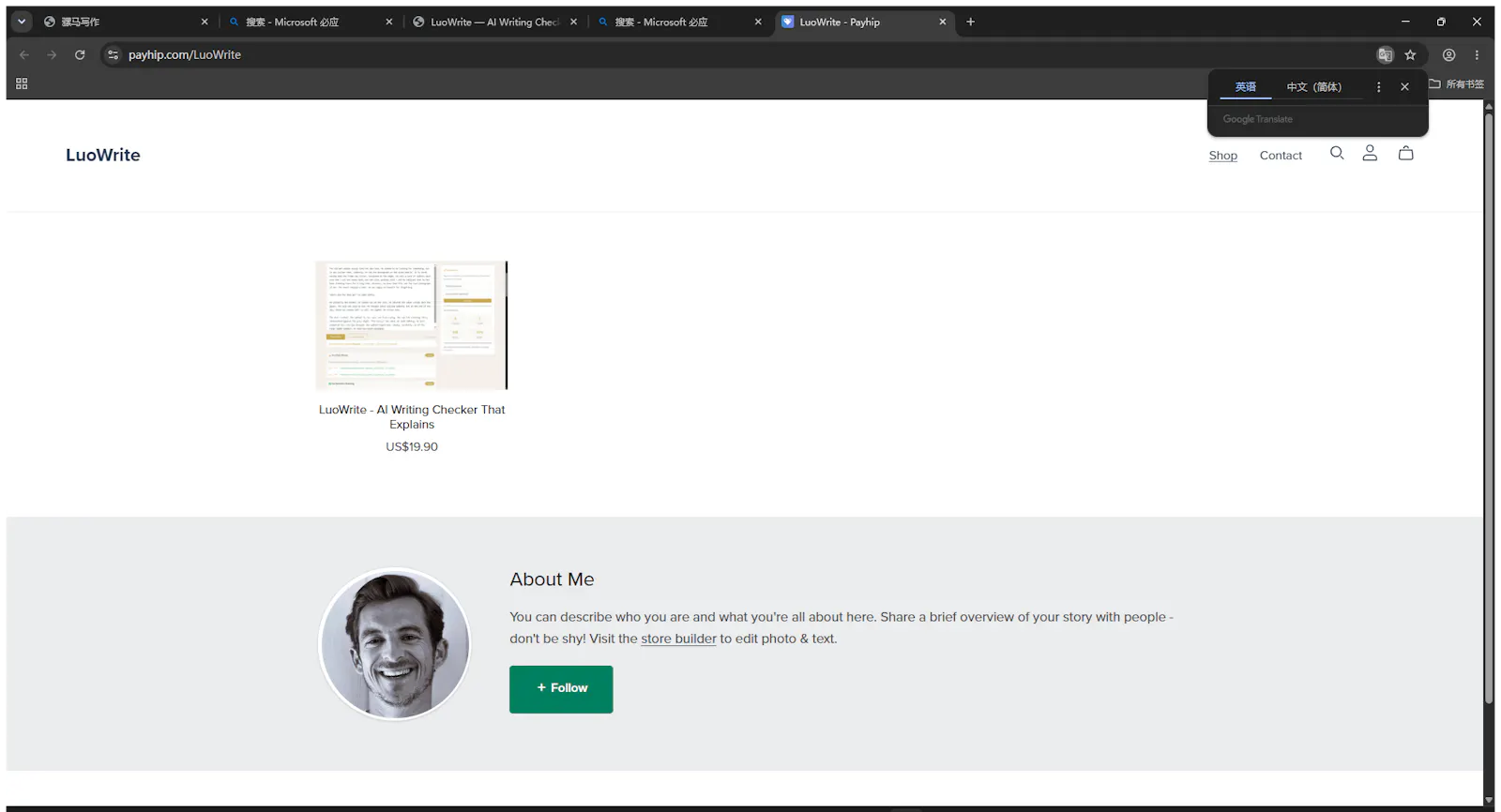 LuoWrite — Your Automated Fiction Editor screenshot 3