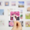 Impressed Photo Books