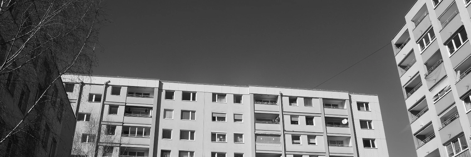 Dominick DeJoy cover