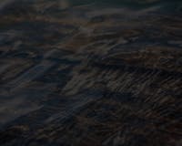 A Soft Murmur media 1