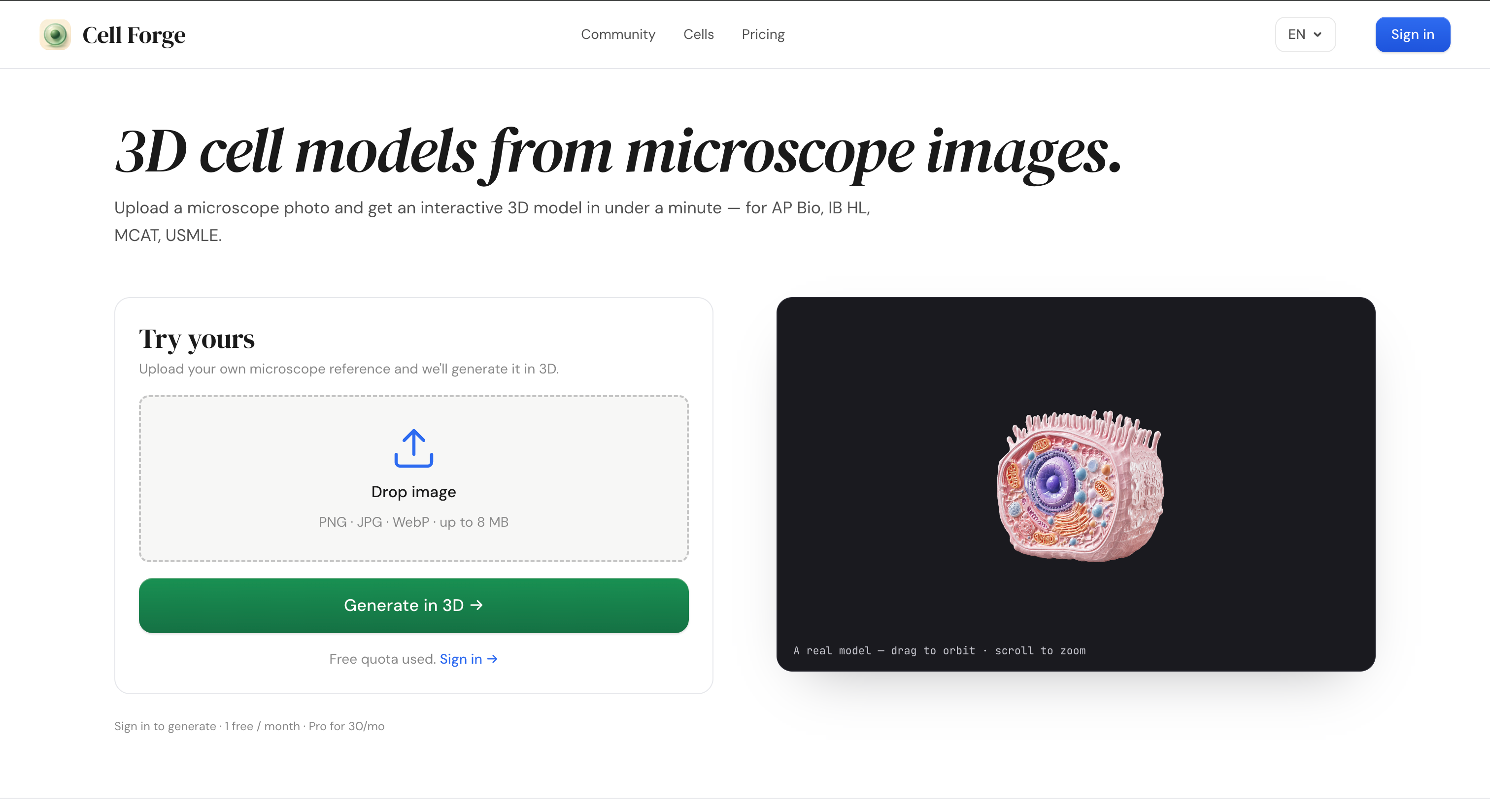 3D cell models from images — Cell Forge gallery image