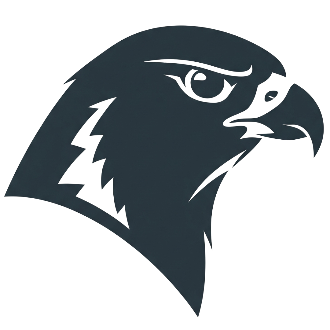 Falconyte logo