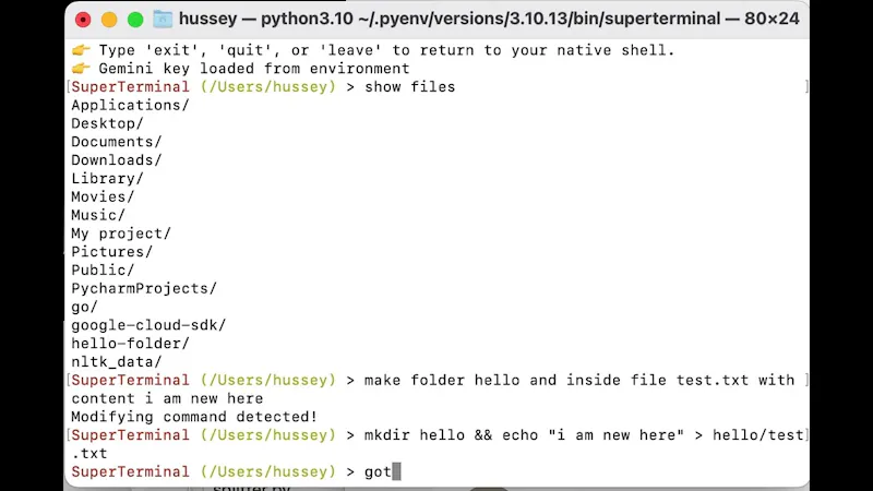 SuperTerminal screenshot 1 (video preview)