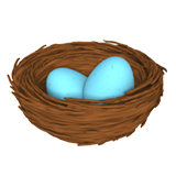 Nest