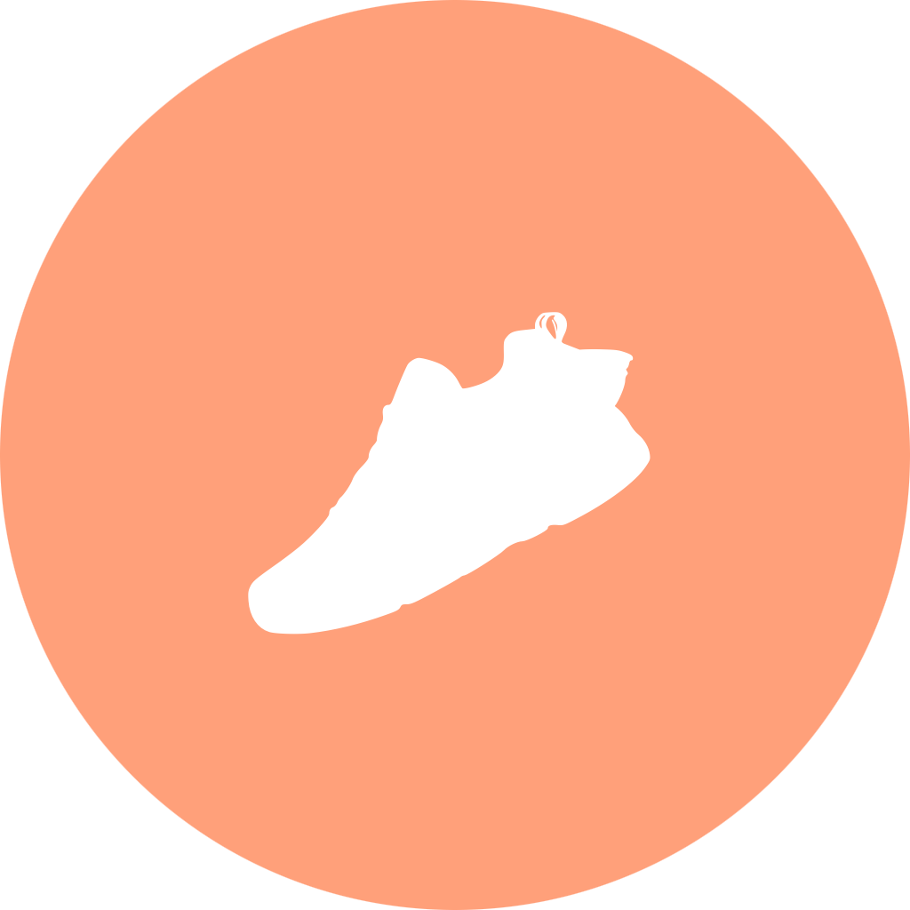 BuddyBoost