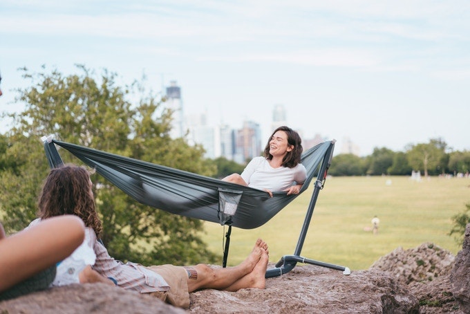 Swiftlet gallery image