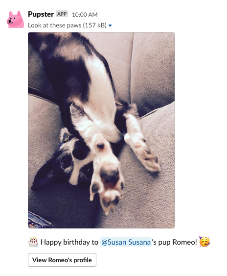 Pupster gallery image