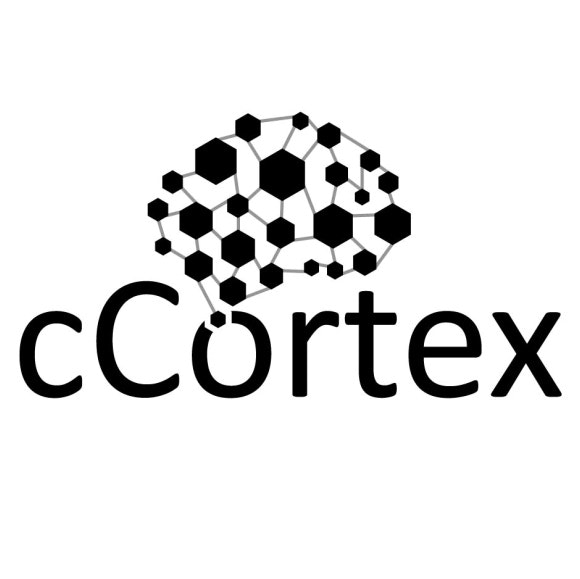 cyberCortex