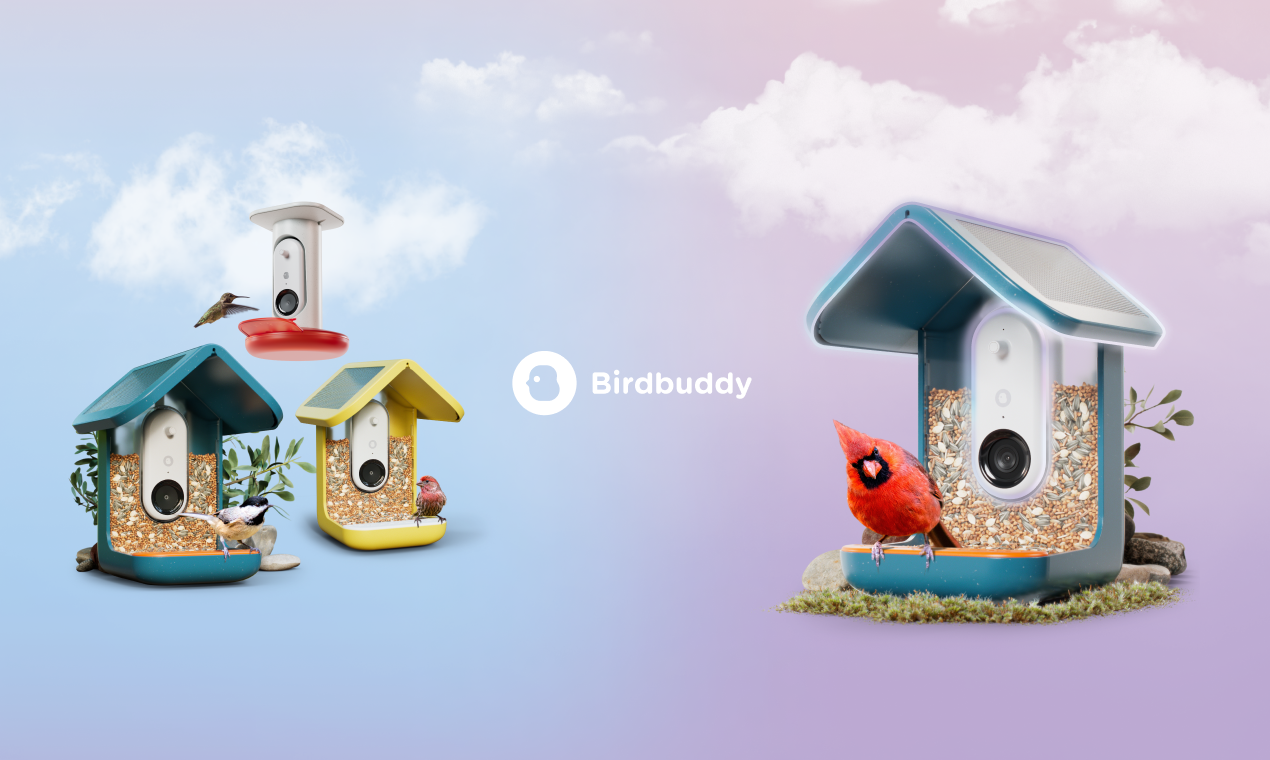 Bird Buddy gallery image