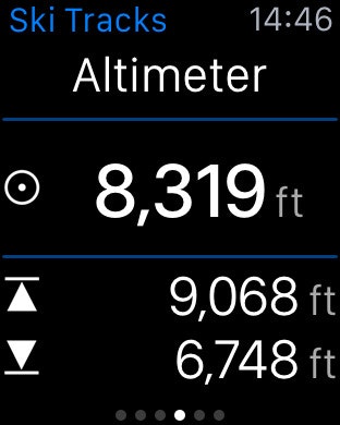 Ski Tracks gallery image