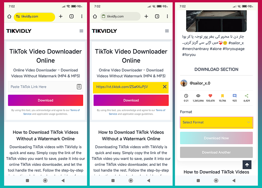 TikVidly gallery image