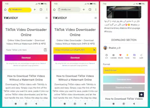 TikVidly gallery image