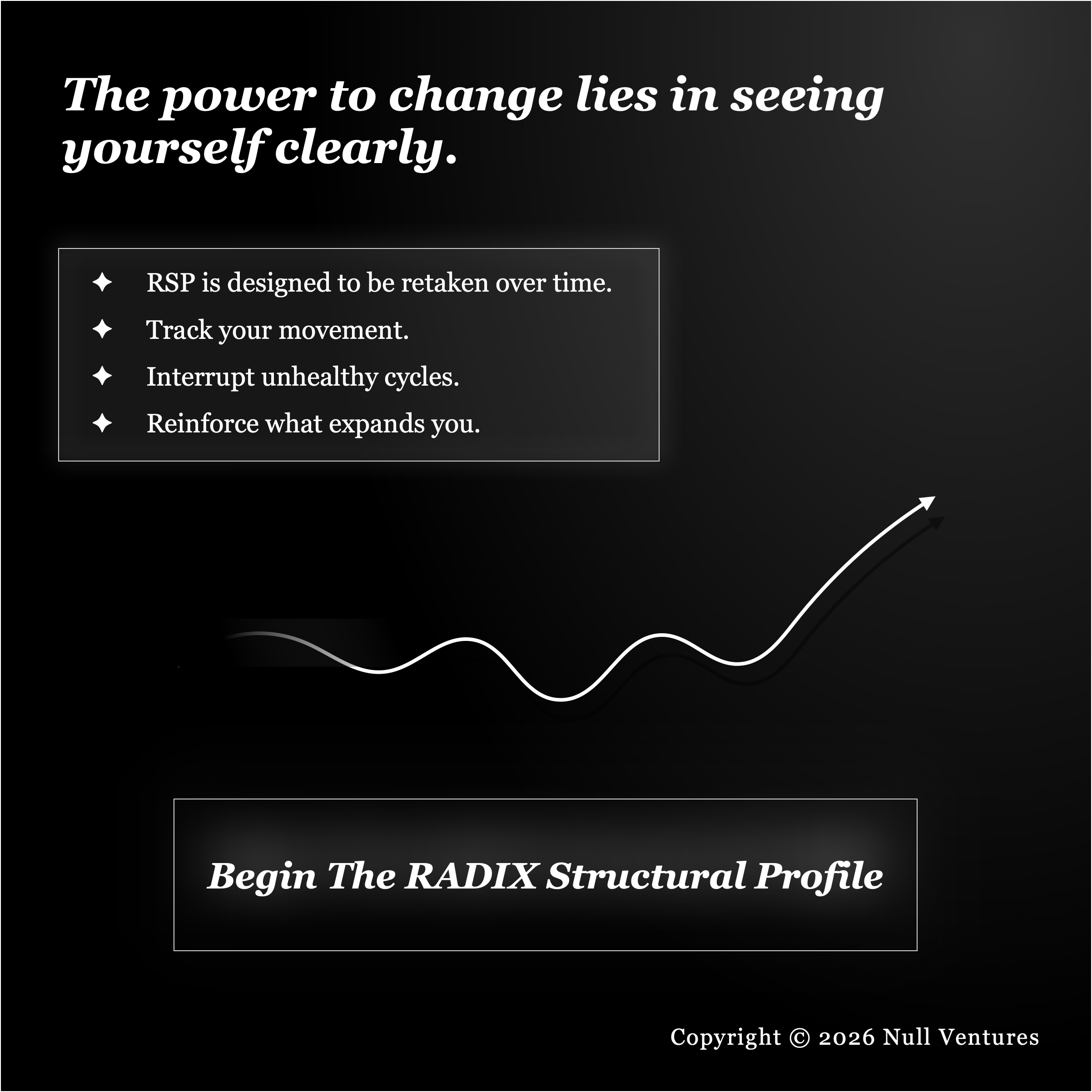 RADIX Structural Profile - Screenshot 2 showing product features and functionality
