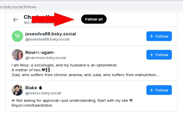 Bluesky Booster - Mass follow, mass unfollow, and mass like on Bluesky. media 1