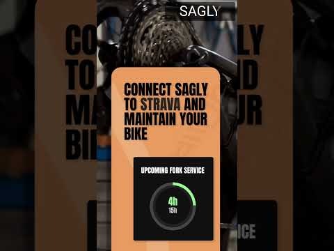 SAGLY gallery image