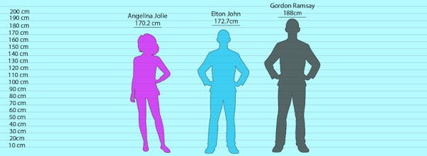 CompareHeight gallery image