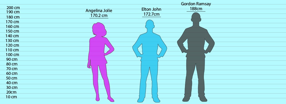 CompareHeight - Screenshot 5 showing product features and functionality