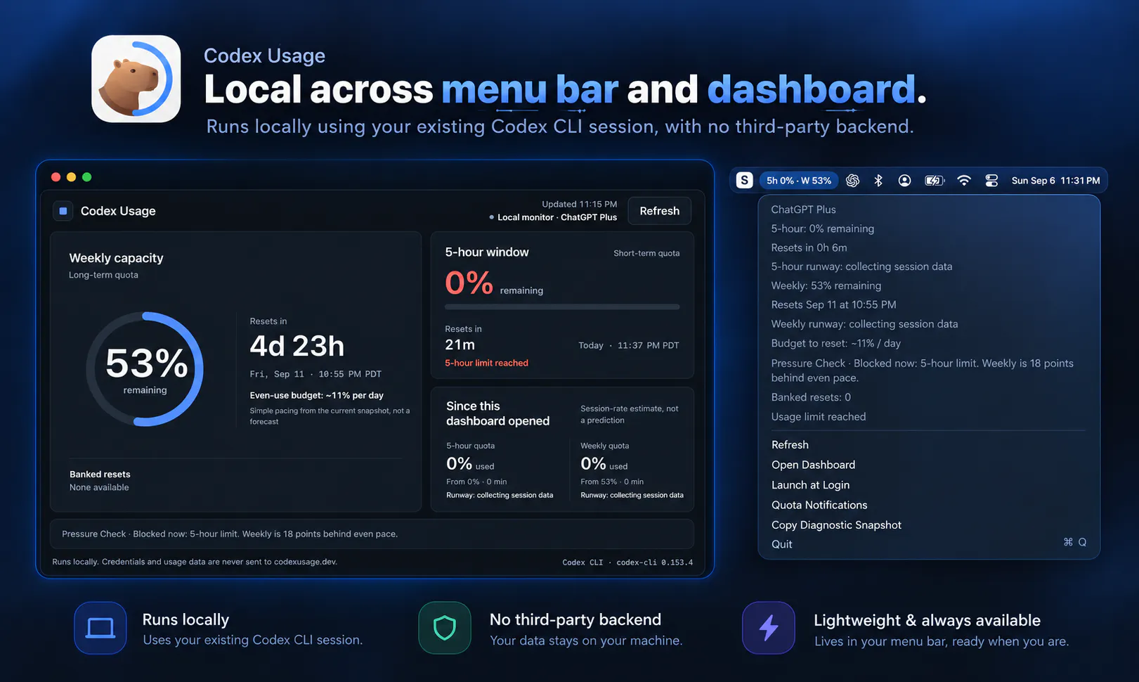 Codex Usage screenshot 3