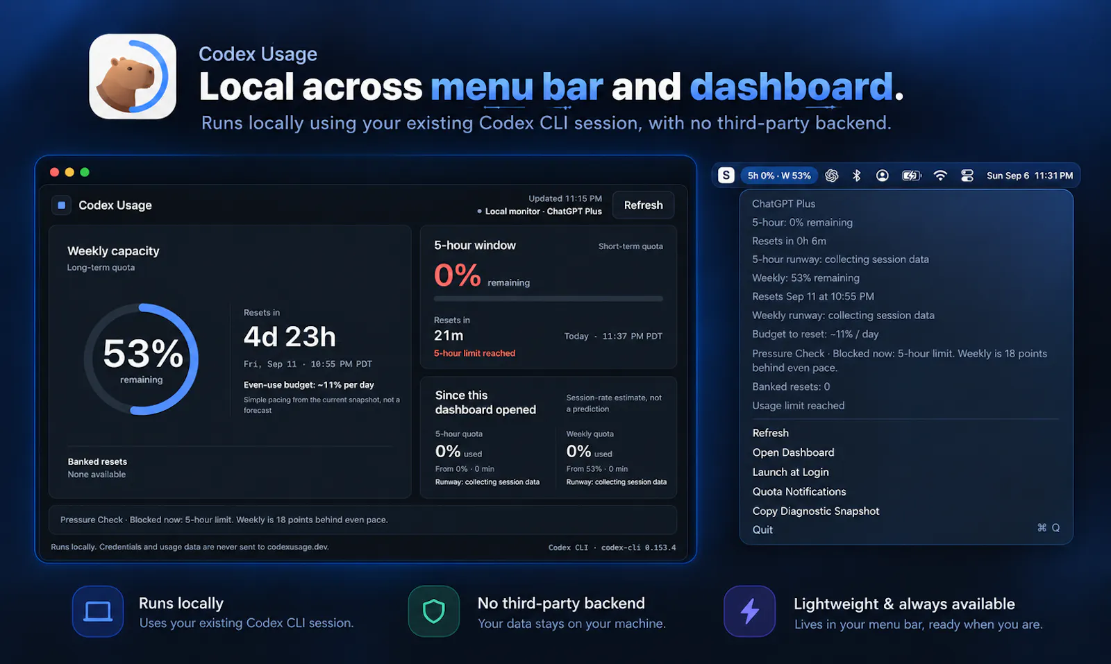 Codex Usage screenshot 3