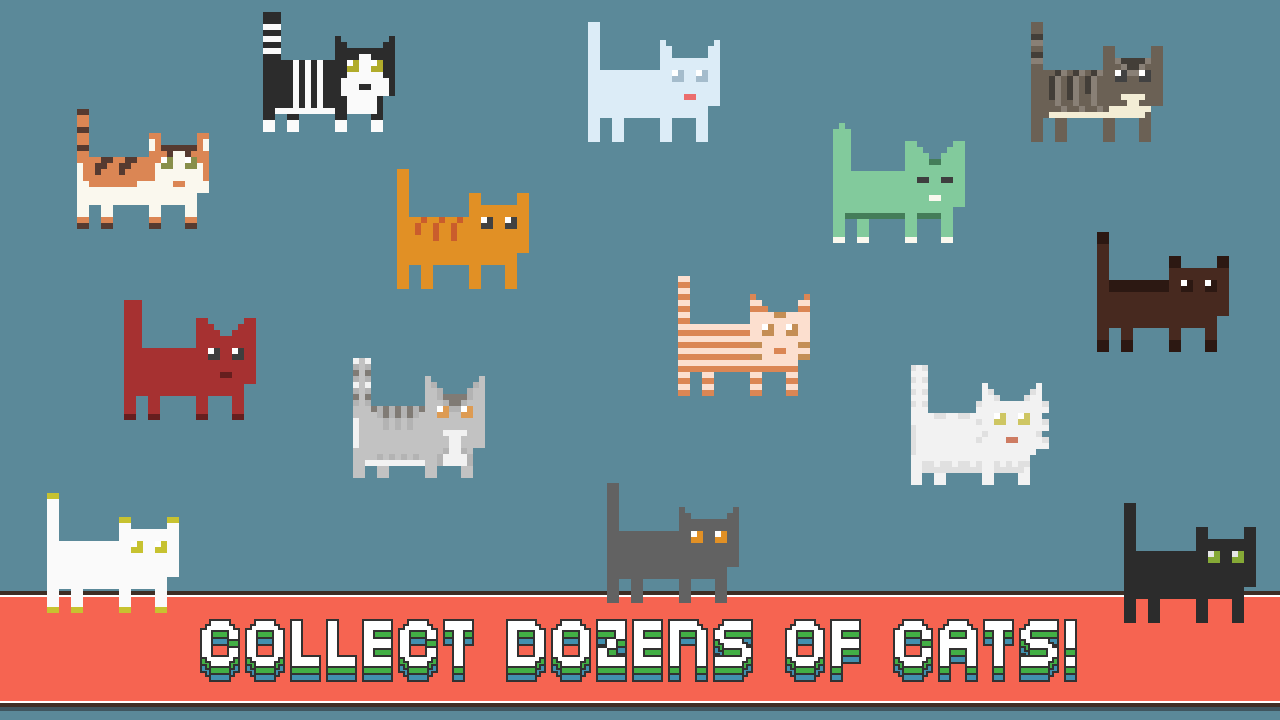 Infinite Meow gallery image