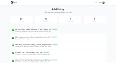 VidSage gallery image