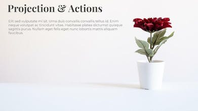 Plant Images for Presentations gallery image