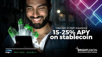 Bright Risk Index gallery image