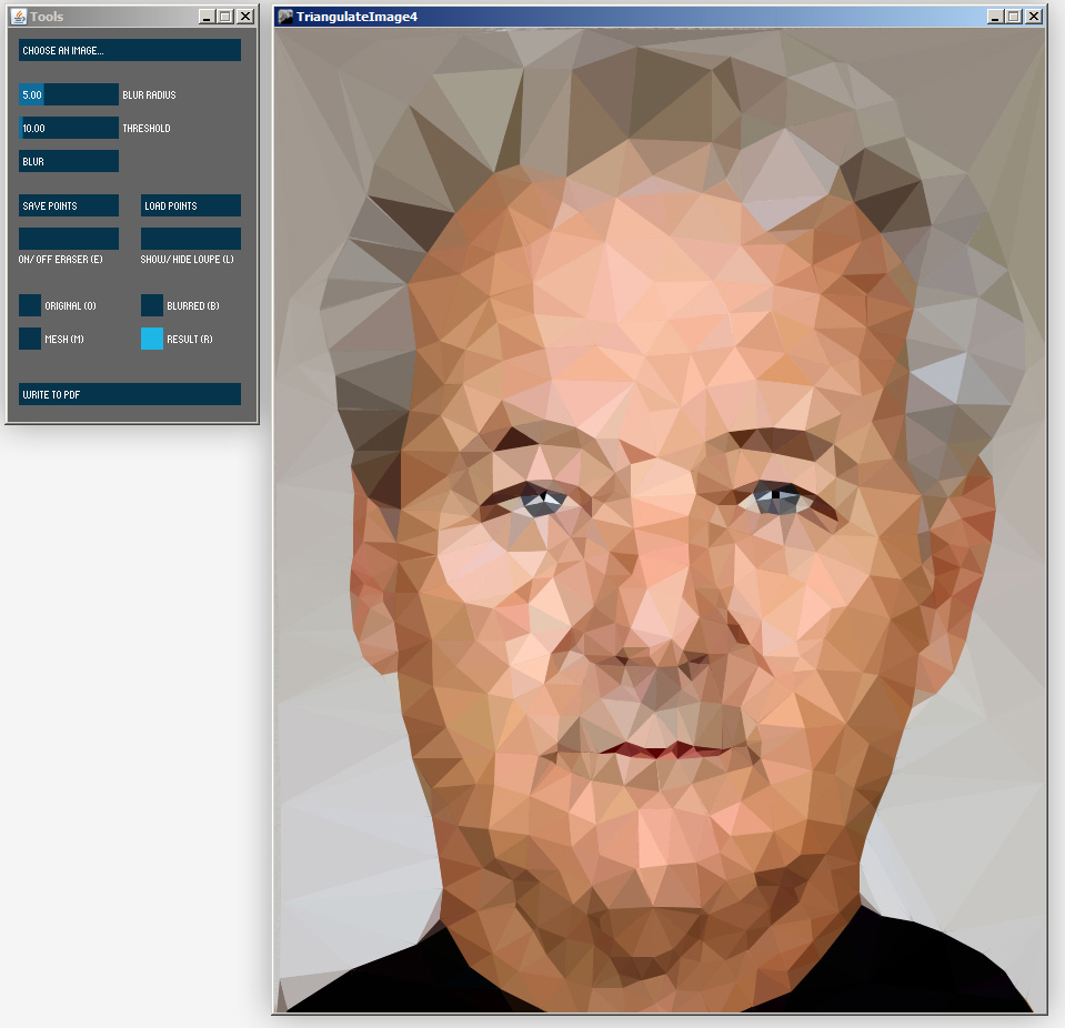 Image Triangulator gallery image