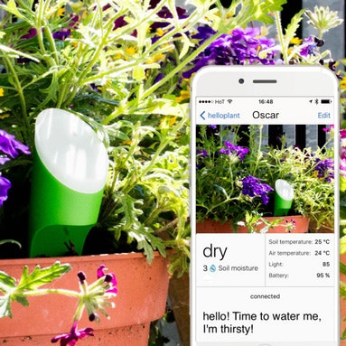 helloplant gallery image